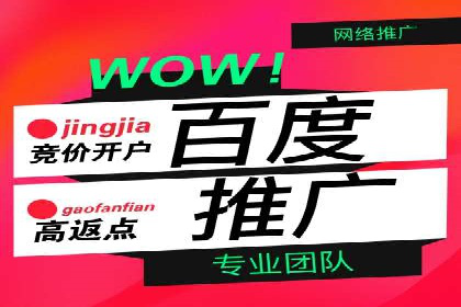 案例解读：网络推广竞价技巧
